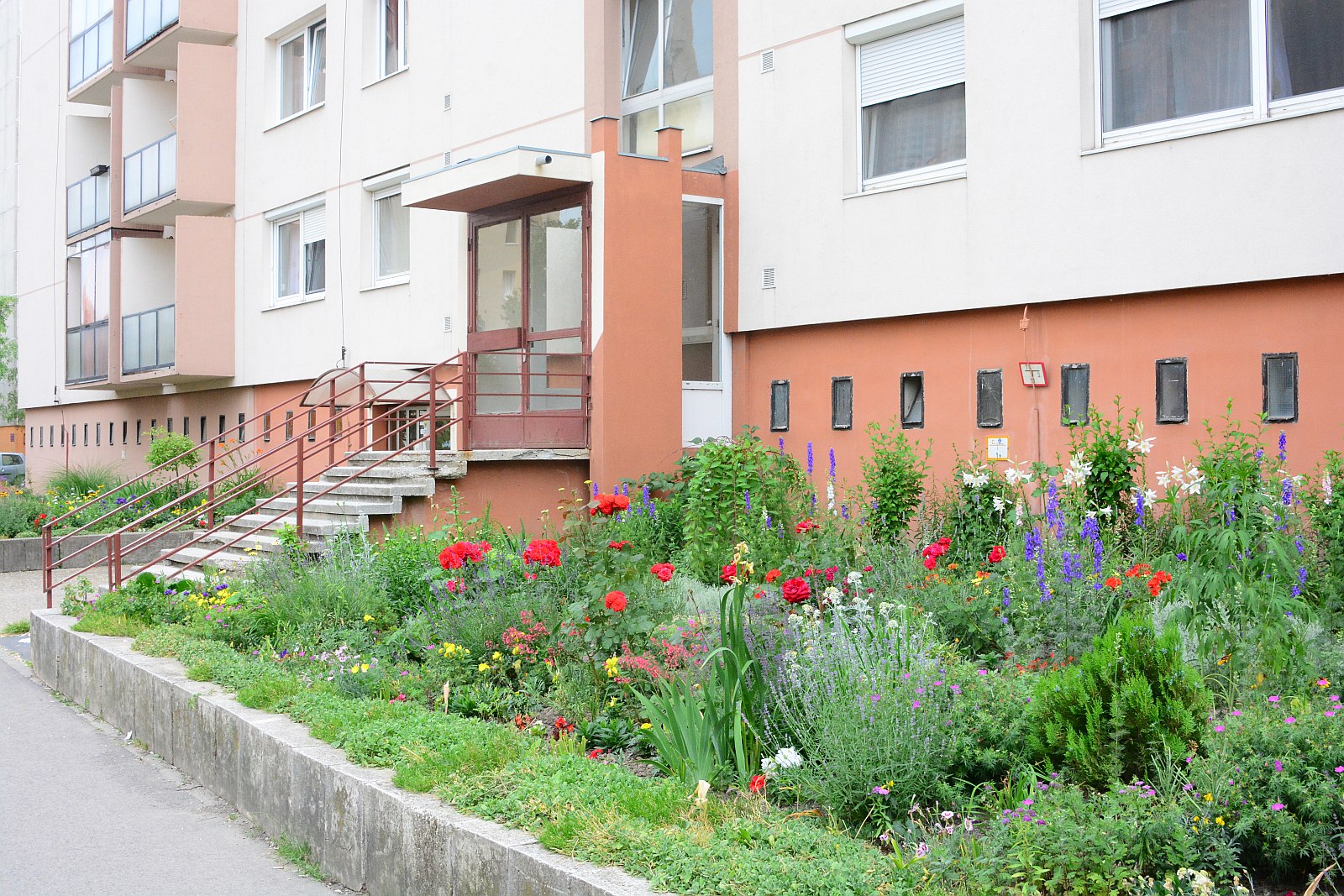 Nézze meg milyen kiskerteket alakítottak ki a fehérváriak a házak előtt